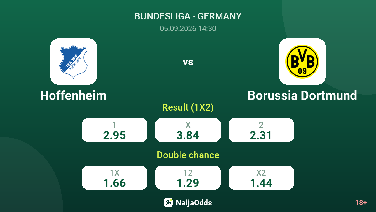 Hoffenheim vs Borussia Dortmund — odds